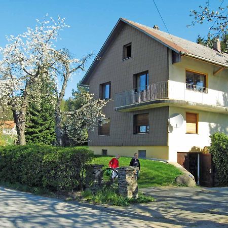 Haus Hollerbusch Apartment Neunburg vorm Wald Exterior photo