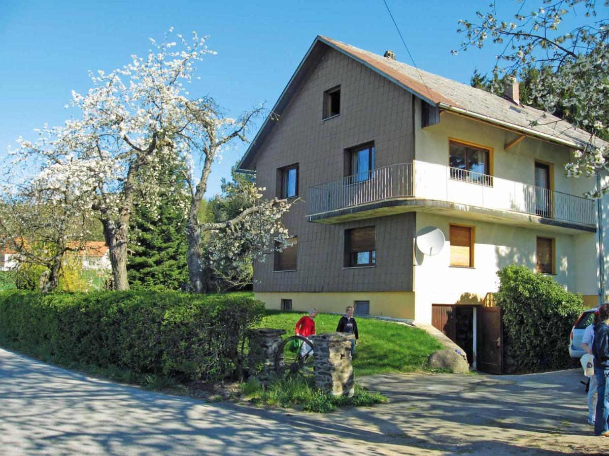 Haus Hollerbusch Apartment Neunburg vorm Wald Exterior photo