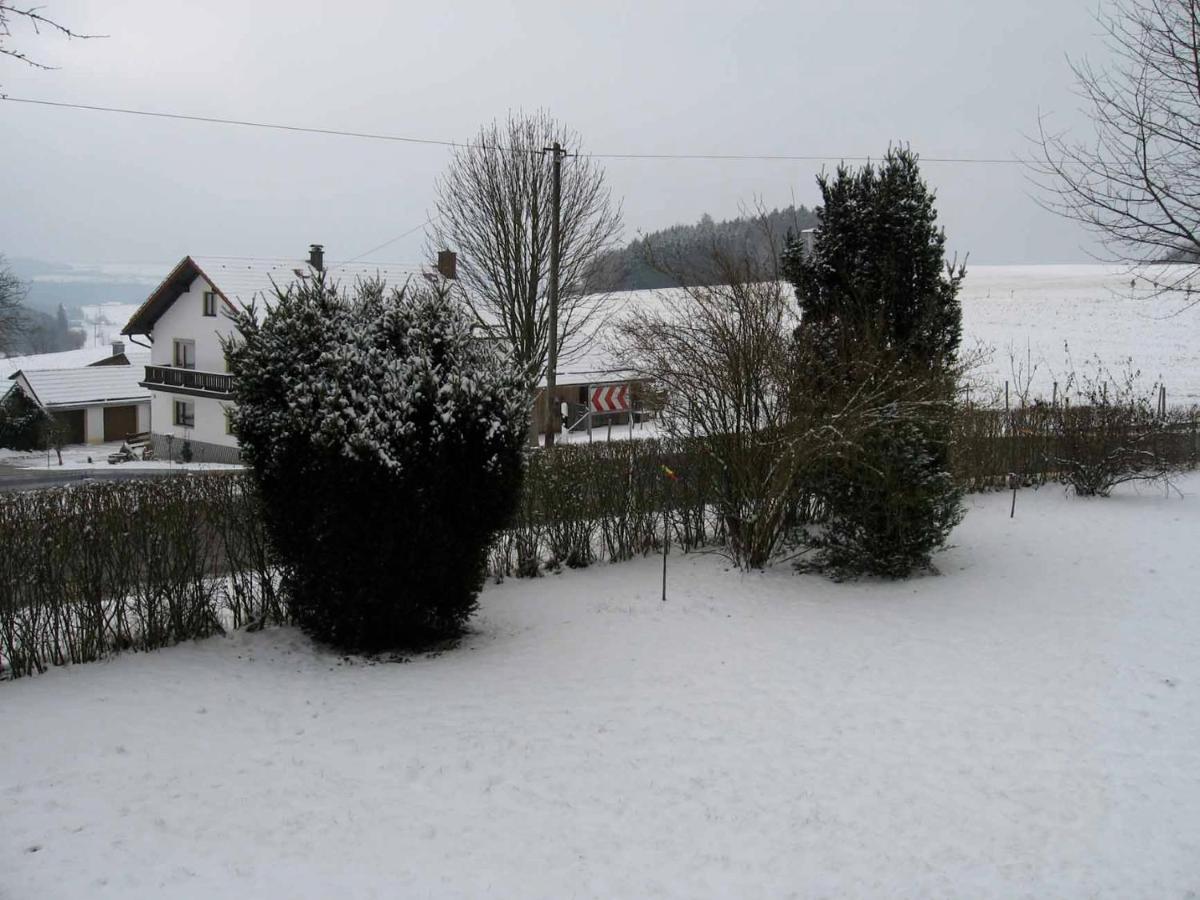 Haus Hollerbusch Apartment Neunburg vorm Wald Exterior photo