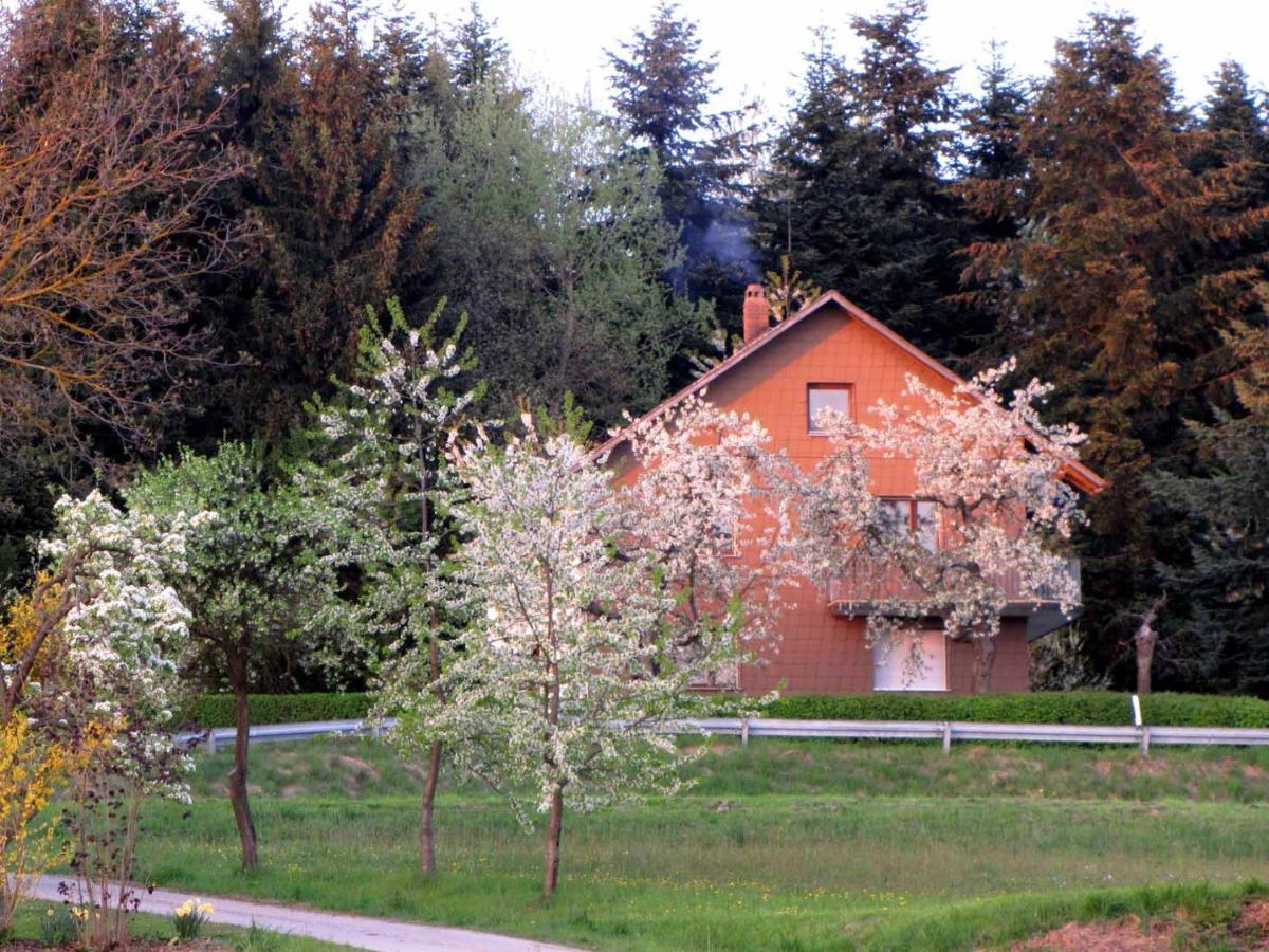 Haus Hollerbusch Apartment Neunburg vorm Wald Exterior photo
